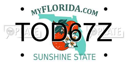 TOD67Z Florida License Plate