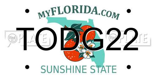 TODG22 Florida License Plate