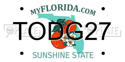 TODG27 Florida License Plate