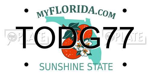 TODG77 Florida License Plate