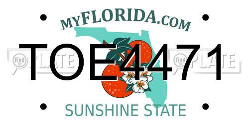 TOE4471 Florida License Plate