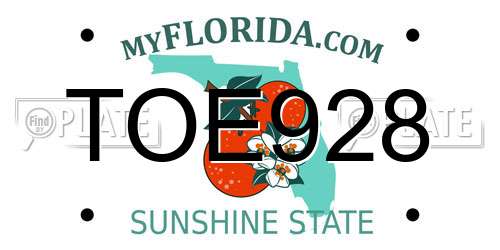 TOE928 Florida License Plate
