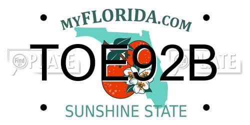 TOE92B Florida License Plate