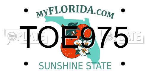 TOE975 Florida License Plate