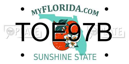 TOE97B Florida License Plate