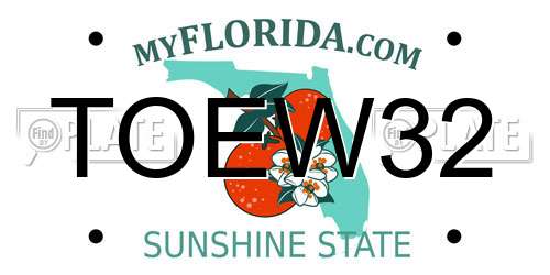 TOEW32 Florida License Plate
