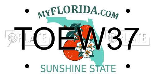 TOEW37 Florida License Plate