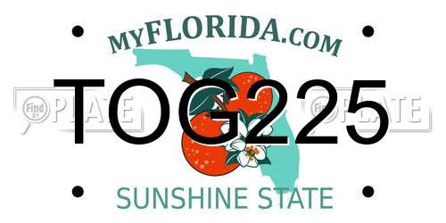 TOG225 Florida License Plate