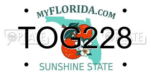 TOG228 Florida License Plate
