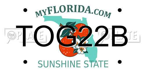 TOG22B Florida License Plate