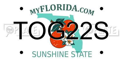 TOG22S Florida License Plate