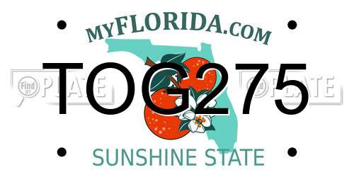 TOG275 Florida License Plate