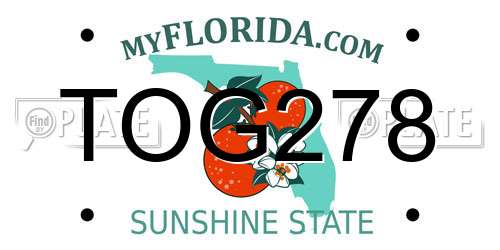 TOG278 Florida License Plate