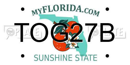 TOG27B Florida License Plate