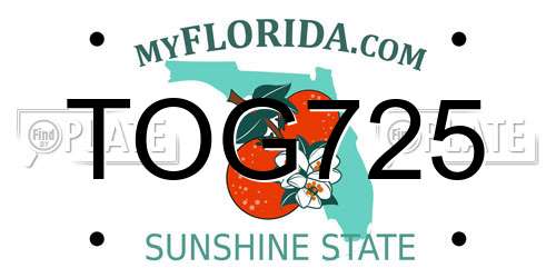 TOG725 Florida License Plate