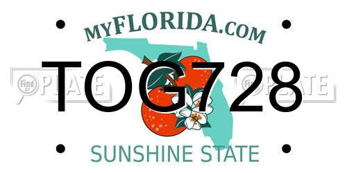 TOG728 Florida License Plate