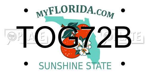 TOG72B Florida License Plate