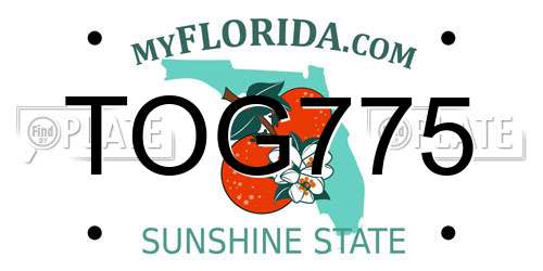 TOG775 Florida License Plate