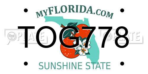 TOG778 Florida License Plate
