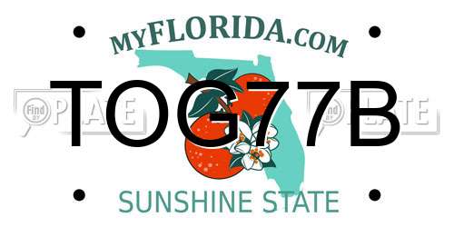 TOG77B Florida License Plate