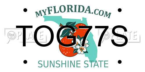 TOG77S Florida License Plate