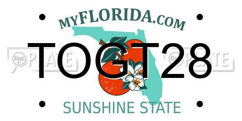 TOGT28 Florida License Plate
