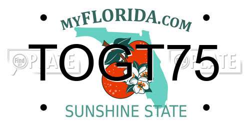 TOGT75 Florida License Plate