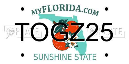 TOGZ25 Florida License Plate