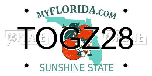 TOGZ28 Florida License Plate