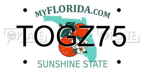 TOGZ75 Florida License Plate