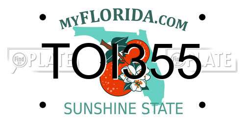 TOI355 Florida License Plate