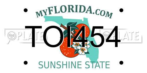 TOI454 Florida License Plate
