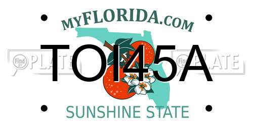 TOI45A Florida License Plate