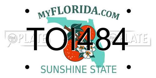 TOI484 Florida License Plate