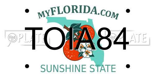 TOIA84 Florida License Plate