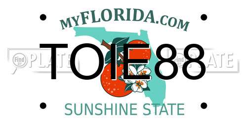 TOIE88 Florida License Plate