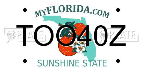 TOO40Z Florida License Plate