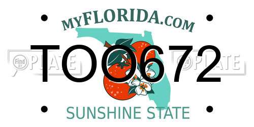 TOO672 Florida License Plate