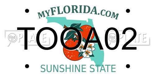 TOOA02 Florida License Plate