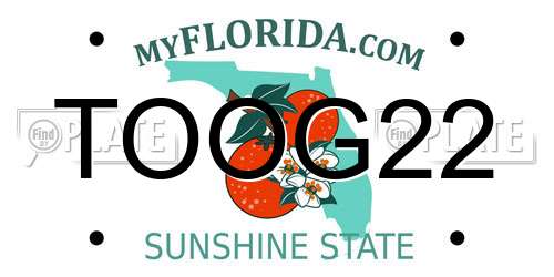 TOOG22 Florida License Plate