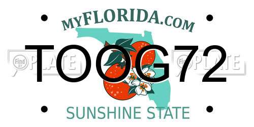 TOOG72 Florida License Plate
