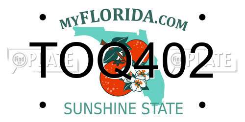 TOQ402 Florida License Plate