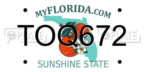 TOQ672 Florida License Plate
