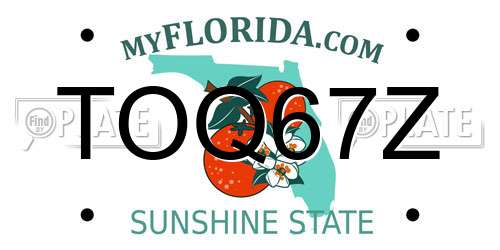 TOQ67Z Florida License Plate