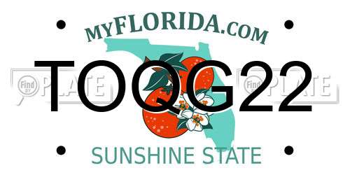 TOQG22 Florida License Plate
