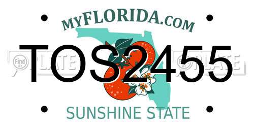 TOS2455 Florida License Plate