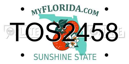 TOS2458 Florida License Plate
