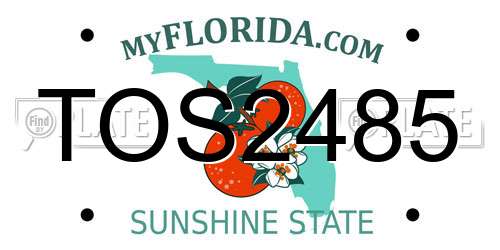 TOS2485 Florida License Plate