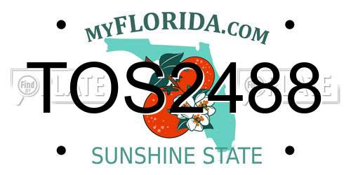 TOS2488 Florida License Plate