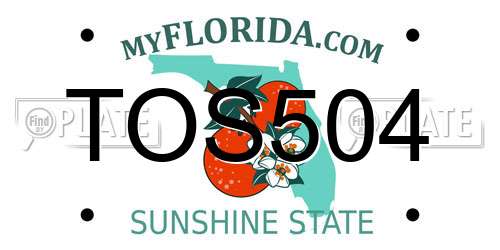 TOS504 Florida License Plate